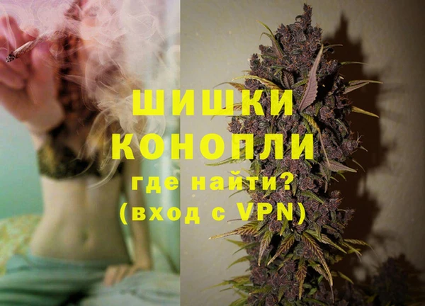 индика Богданович